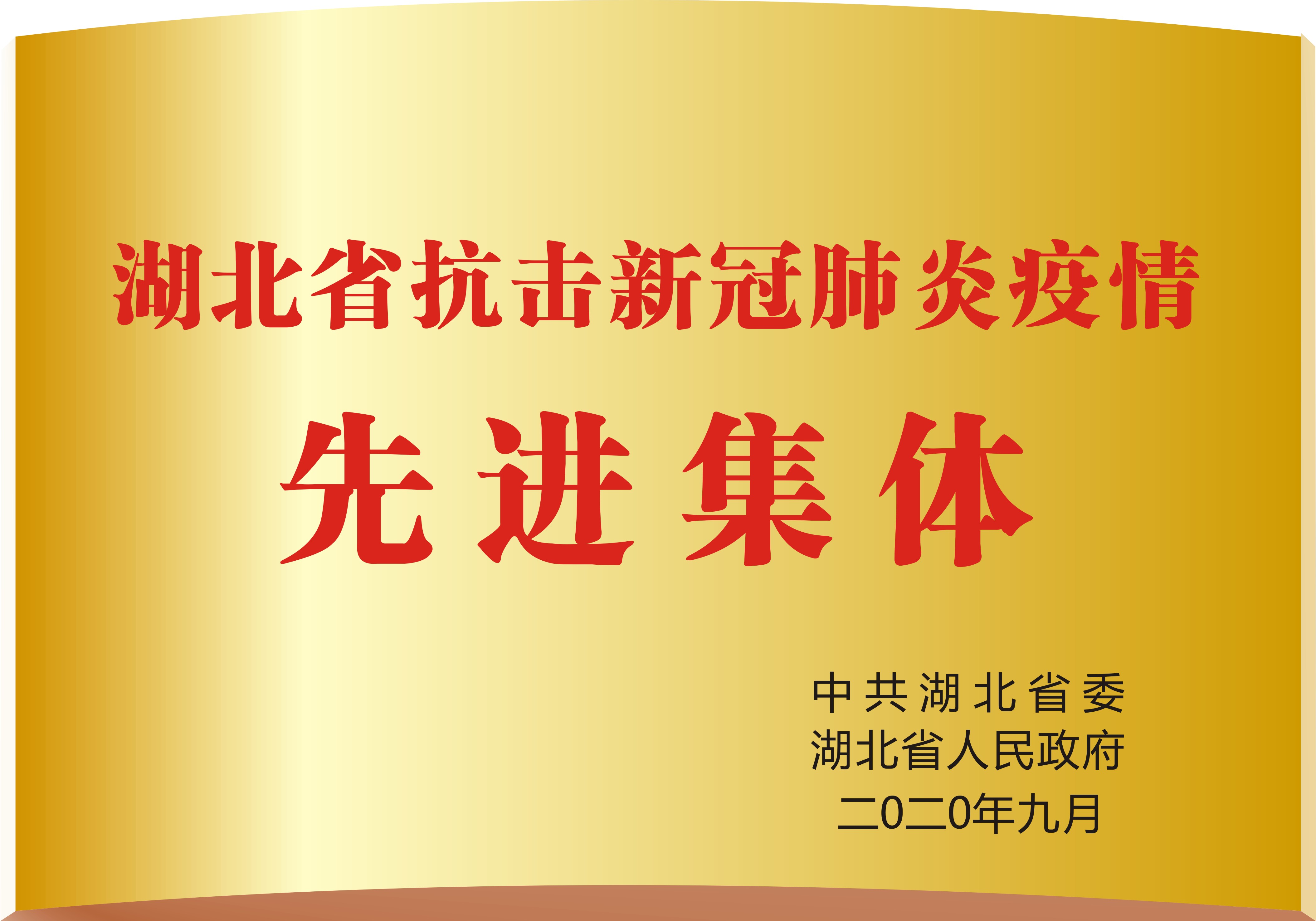 湖北省抗击新冠疫情先进集体
